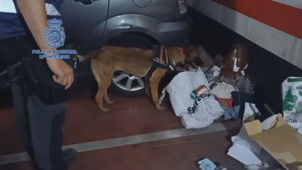 En la operación participó la unidad canina. | Policía Nacional