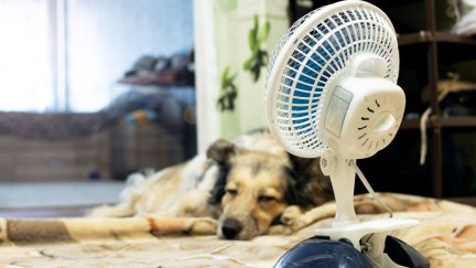 Conciliar el sueño con calor es más difícil. / Canva