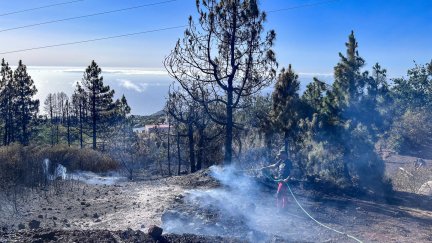 Algunos vecinos han preferido quedarse para ayudar en la lucha contra el fuego. ( EFE/Miguel Calero)