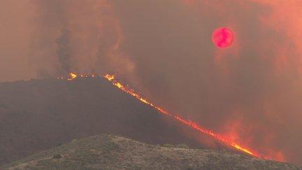 Se cumple un año desde que comenzó el incendio de Ateca y Moros (Zaragoza).