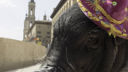 Pepa, en una fotografía junto al Pilar. / Instagram