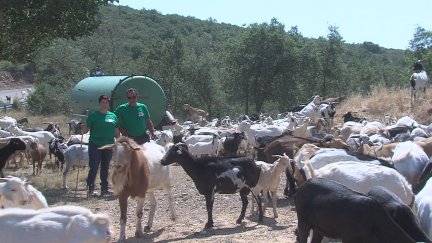 Se necesitarán más de 5.000 trabajadores agrícolas y ganaderos.