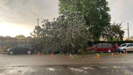 Caída de árboles y calles cortadas por la intensa tormenta acompañada de viento en Huesca./ Ayuntamiento de Huesca
