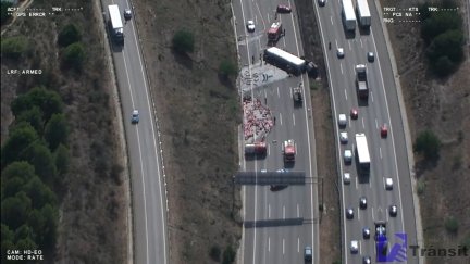 Imagen aérea del accidente, con los animales desperdigados por la calzada. / Servei Català de Trànsit (Europa Press)