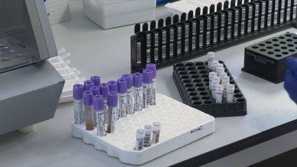 2.500 aragoneses se benefician de los análisis genéticos para prevenir enfermedades