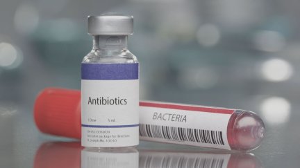 La resistencia antibiótica provoca 33.000 muertes al año en Europa y un gasto sanitario de unos 1.500 millones de euros.