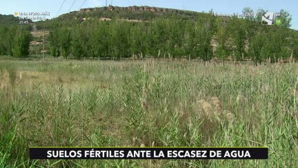 Suelos fértiles ante la escasez de agua