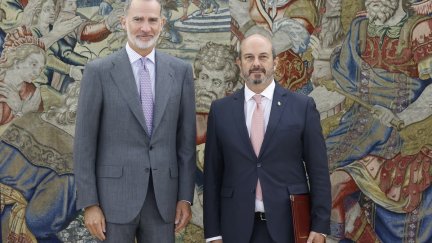 El Rey Felipe VI recibe en audiencia al presidente del Senado, Pedro Rollán. / CASA S.M. REY
