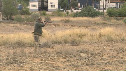 Está abierta la media veda en Aragón, que permite cazar conejos con perros.