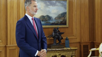 El Rey ha abierto este lunes la ronda de contactos con los grupos con representación en el Congreso. / Efe