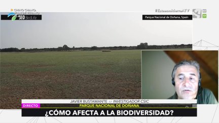 Santa Olalla se seca