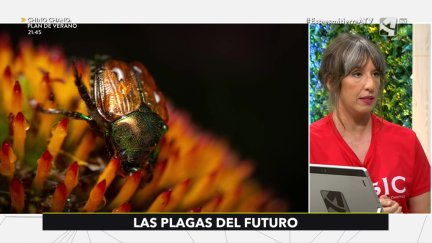 Plagas del futuro