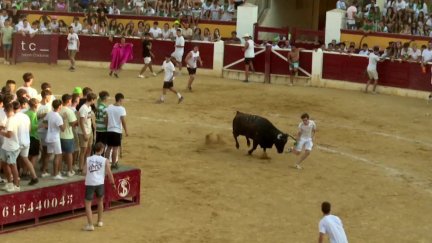 El año pasado se celebraron en la Comunidad cerca de 2.700 festejos taurinos.