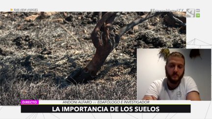 Edafología: el estudio de los suelos