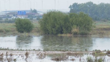 Las lluvias han anegado caminos, viales y campos en Pedrola.