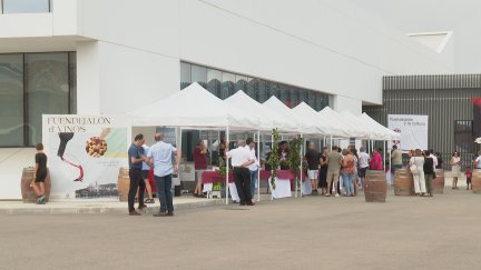 Fuendejalón (Zaragoza) ha celebrado la fiesta del vino en plena vendimia.