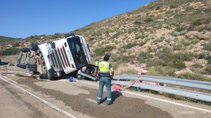 El camión que transportaba cerdos chocó y volcó contra un turismo. Uno de los ocupantes del coche ha fallecido y el resto han resultado heridos. / Guardia Civil