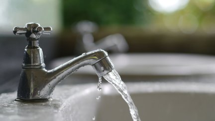 La principal hipótesis es que el parásito causante de la epidemia se transmite por el agua. / Canva