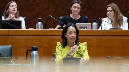 La consejera Carmen Susín durante la comparecencia.