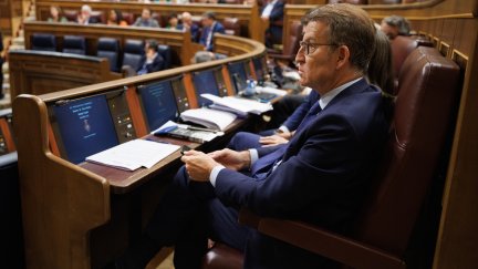 El presidente del PP, Alberto Núñez Feijóo, en el Congreso de los Diputados. / Europa Press.