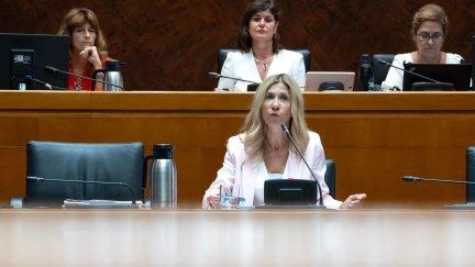 La consejera de Economía, Empleo e Industria, Mar Vaquero, durante su comparecencia en las Cortes de Aragón. Fabián Simón/ Gobierno de Aragón