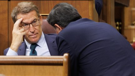 El candidato a la presidencia del Gobierno y presidente del PP, Alberto Núñez Feijóo. / Efe