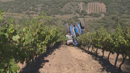 Así ha quedado la vendimiadora en la que ha perdido la vida un trabajador en Aladrén.
