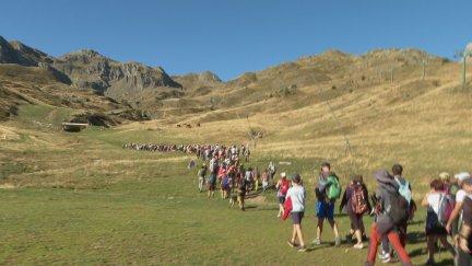 La marcha ha comenzado en el aparcamiento de Portalet y transcurre hasta el Pico de Canal Roya.