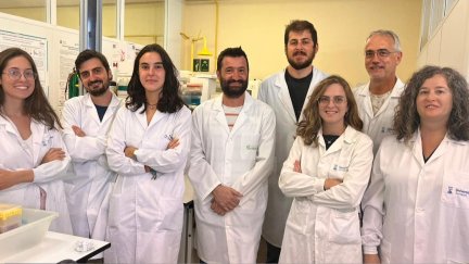 Investigadores de la UZ descubren una terapia eficaz frente a tumores de pulmón, basada en la vacuna viva de la tuberculosis, la BCG. / UZ