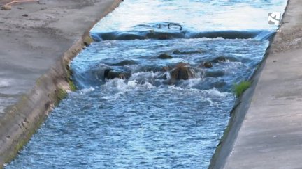 El protozoo Cryptosporidium es el causante del brote de gastroenteritis de Tarazona.