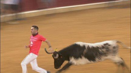 Un joven recorta a una las vaquillas.