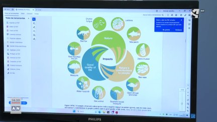 El coste de las especies invasoras