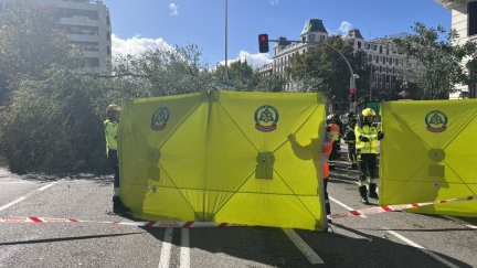El árbol que se ha caído en pleno centro de Madrid. / Emergencias Madrid
