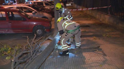 Las rachas de viento han alcanzado hasta los 108 km/hora en Zaragoza.