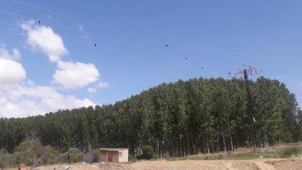 Tendido eléctrico en la comarca de Tarazona y el Moncayo. | Gobierno de Aragón
