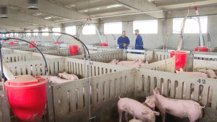 El Comité Técnico Europeo ha propuesto nuevas recomendaciones para las granjas.