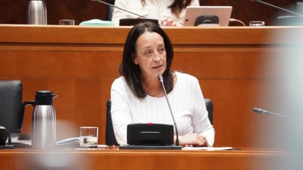 La consejera de Bienestar Social y Familia del Gobierno de Aragón, Carmen Susín./ Europa Press
