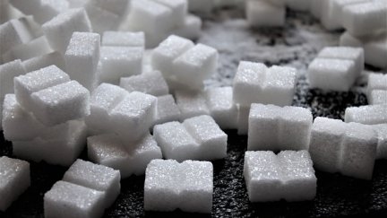 Terrones de azúcar.