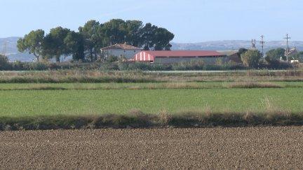 Huerta de Movera (Zaragoza).