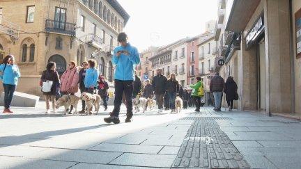 VII edición del Paseo Ciudadano que ha organizado la ONCE en Huesca.