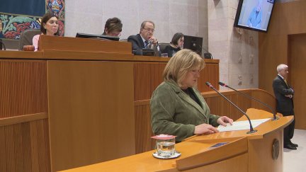 Tomasa Hernández, durante su intervención en las Cortes de Aragón.
