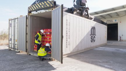 Dos inspectoras analizan el contenido de un camión con carne de cerdo.