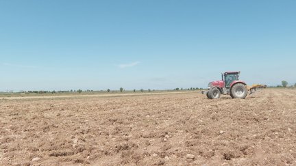 El campo sigue perdiendo trabajadores cada año en Aragón.