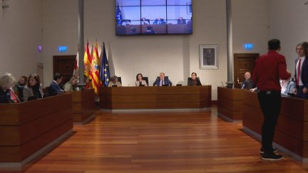 Pleno de la DPZ este viernes.