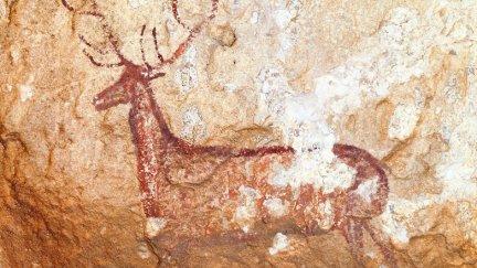 El Museo de Huesca ha actualizado los contenidos de la sala dedicada a la Prehistoria. | Gobierno de Aragón