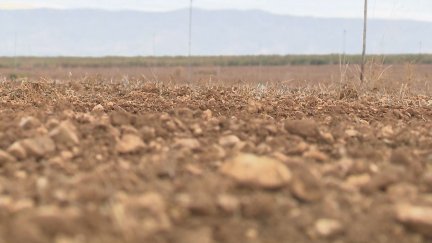 En la parte positiva del balance se encuentra la producción de olivo, que sube un 57%, y también la de los huevos, un 6% mayor.