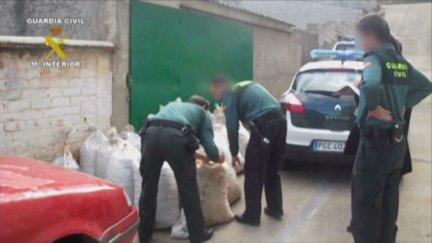Una operación de la Guardia Civil por el robo de almendras en Zaragoza.
