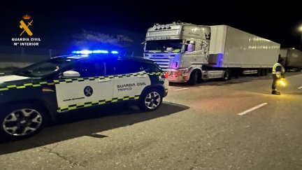 Camión inmovilizado tras comprobar que el conductor no tenía permiso. / Guardia Civil