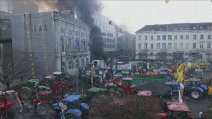 Agricultores protestan en Bruselas.
