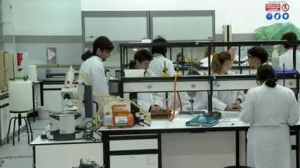La consejera de Educación, Ciencia y Universidades del Gobierno de Aragón, Claudia Pérez Forniés. / Cortes de Aragón.